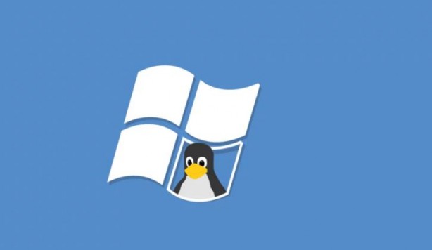 Foto - Linux tüm zamanların zirvesinde! Windows gözden düştü