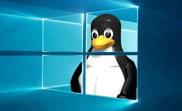 Linux tüm zamanların zirvesinde! Windows gözden düştü