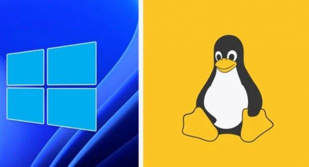 Foto - Linux tüm zamanların zirvesinde! Windows gözden düştü