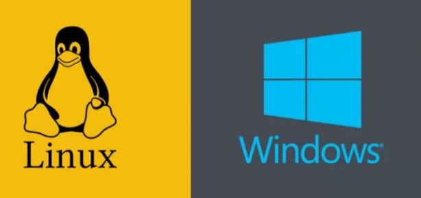 Foto - Linux tüm zamanların zirvesinde! Windows gözden düştü