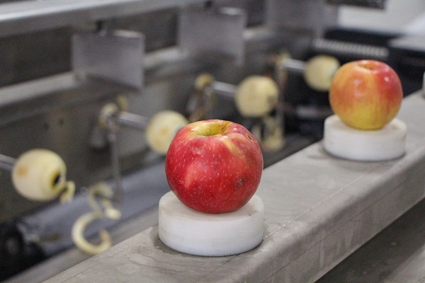 Foto - Lise değil adeta fabrika! 