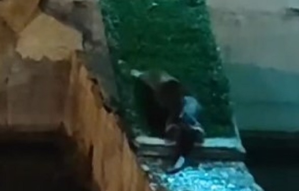 Liseli genç gözlerine inanamadı! Bakın Yeşilırmak kenarındaki gizemli canlı neymiş