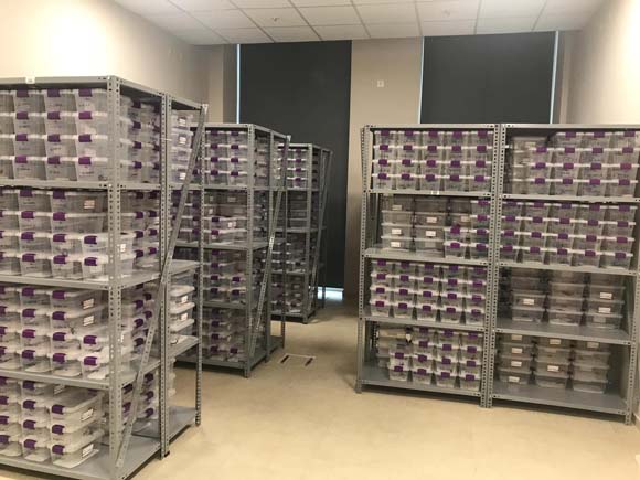 Foto - Litresi 10 milyon dolar! Türkiye ekonomisi için büyük şans