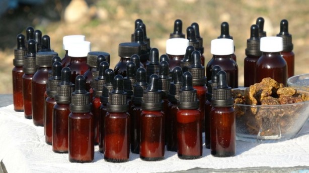 Foto - Litresi tam 10 bin TL! Talep yağıyor