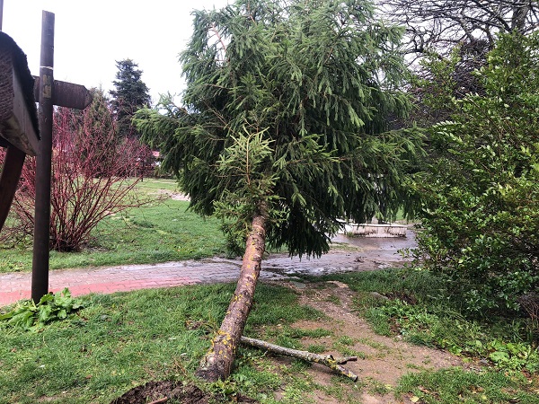 Foto - Lodos Gölcük Tabiat Parkı’nı yıktı geçti