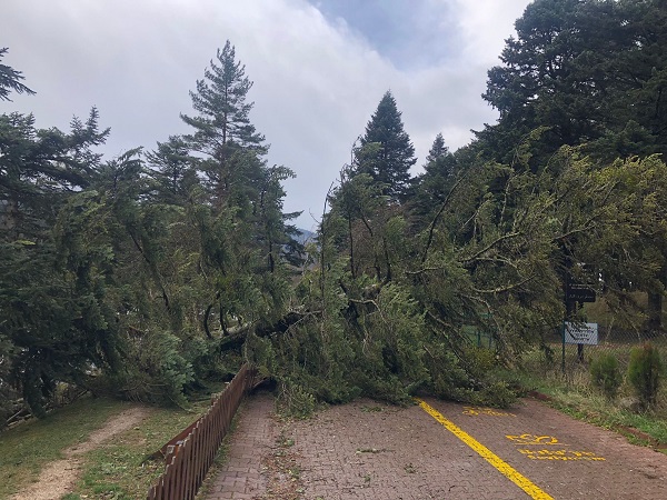 Foto - Lodos Gölcük Tabiat Parkı’nı yıktı geçti