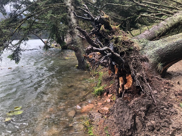 Foto - Lodos Gölcük Tabiat Parkı’nı yıktı geçti