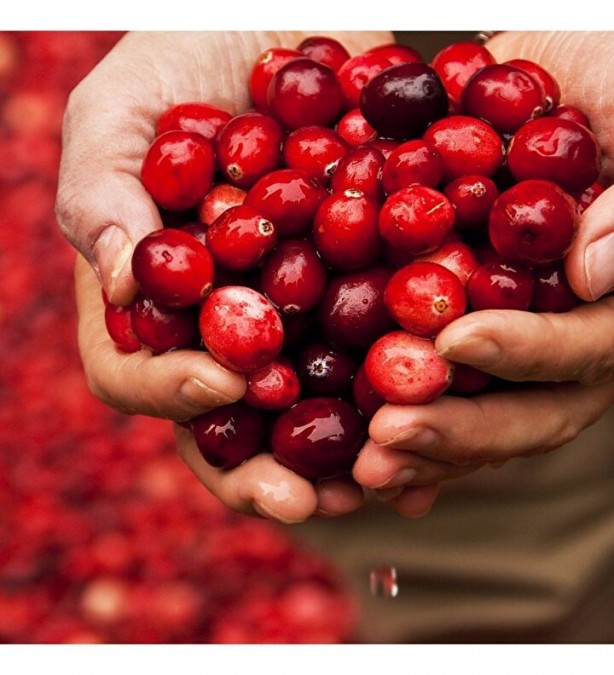 Foto - Lokman hekimin mucizevi tavsiyesi: Vücudu zırh gibi koruyor yiyen doktor yüzü görmüyor