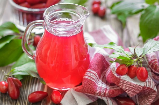 Foto - Lokman Hekim'in şifa kaynağı! Bunu yiyen hasta olmaz: Hayatı kısaca güzelleştiren besin kızılcık!