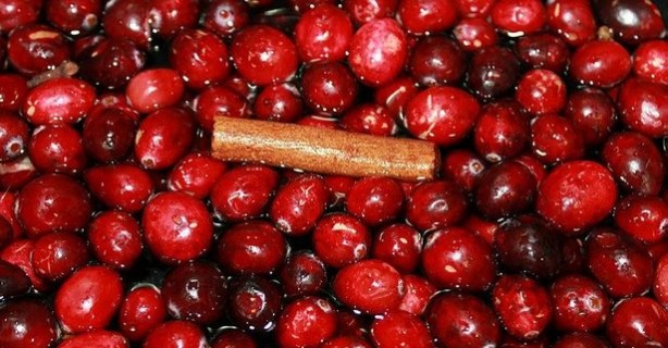 Foto - Lokman Hekim'in şifa kaynağı! Bunu yiyen hasta olmaz: Hayatı kısaca güzelleştiren besin kızılcık!