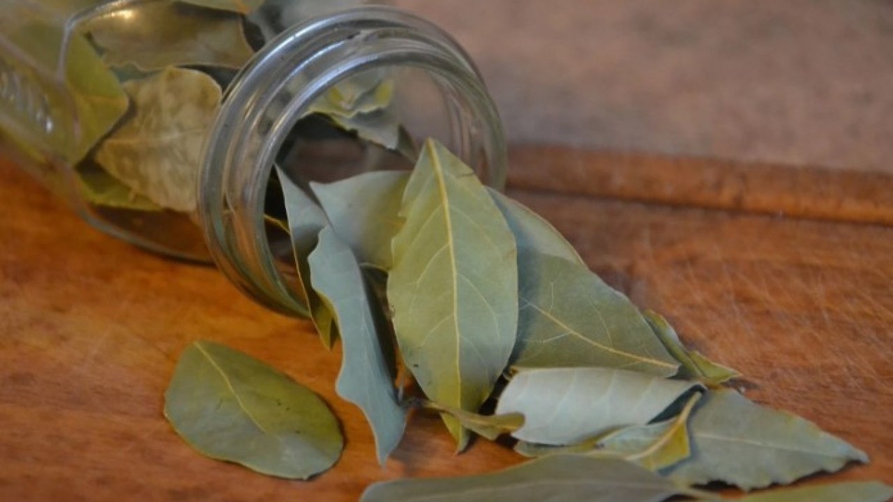 Foto - Lokum gibi olacak! İşte kuru fasulyeyi yumuşatmanın basit yöntemi