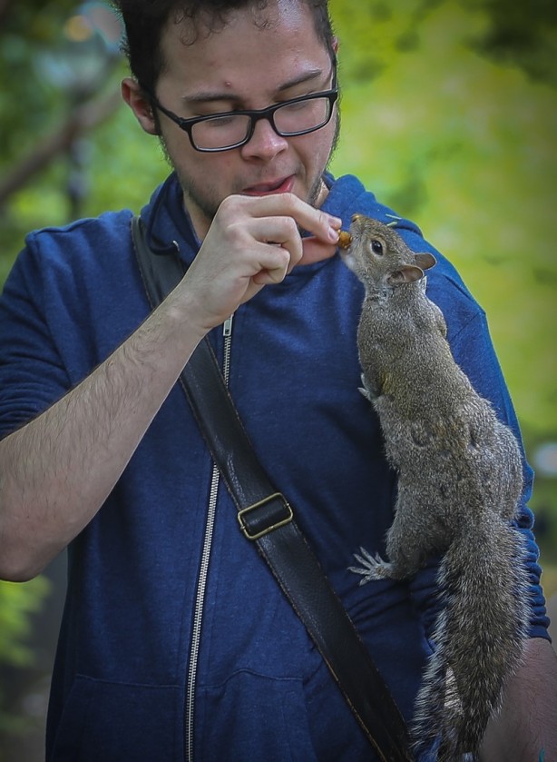 Foto - Londra’nın simgesi: Hyde Park