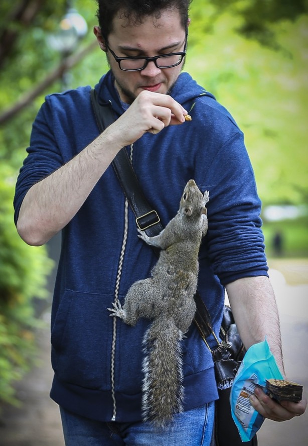 Londra’nın simgesi: Hyde Park