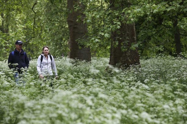 Foto - Londra’nın simgesi: Hyde Park