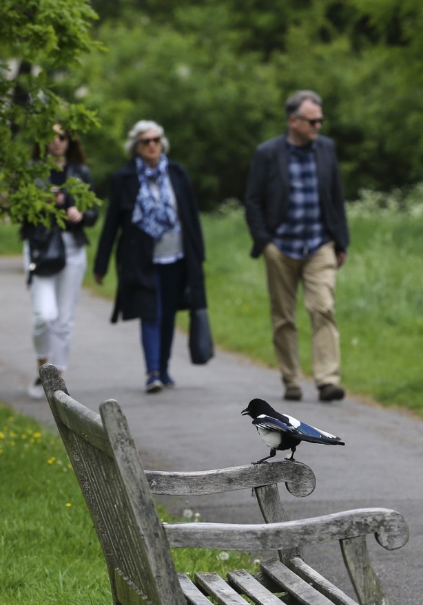 Foto - Londra’nın simgesi: Hyde Park