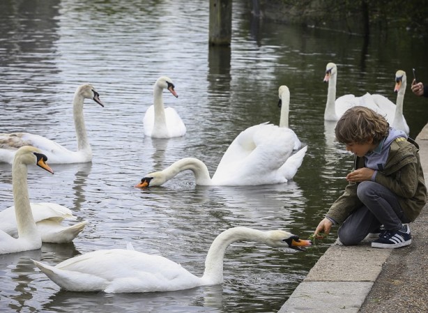 Foto - Londra’nın simgesi: Hyde Park
