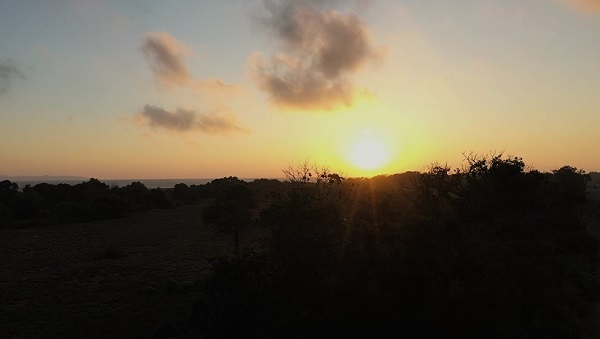 Foto - Longozda gün batımı bir başka güzel