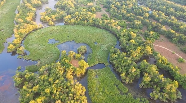 Foto - Longozda gün batımı bir başka güzel