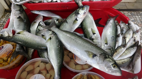 Foto - Lüferin fiyatı dudak uçuklattı