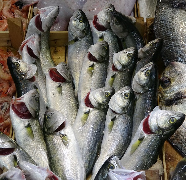 Foto - Lüferin fiyatı dudak uçuklattı