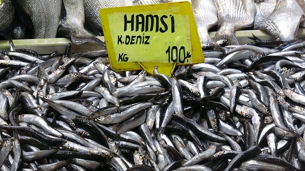 Foto - Lüferin fiyatı dudak uçuklattı