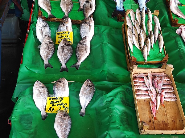 Foto - Lüferin fiyatı düştü! İşte güncel fiyatlar