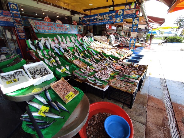 Foto - Lüferin fiyatı düştü! İşte güncel fiyatlar
