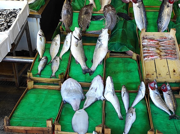 Foto - Lüferin fiyatı düştü! İşte güncel fiyatlar