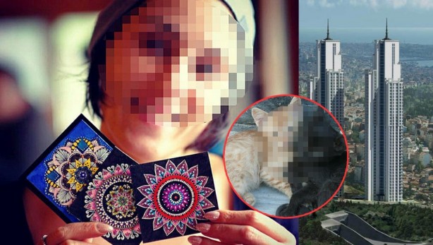 Lüks rezidansta kedi katliamı: Gözlerini oyup öldürüyor!