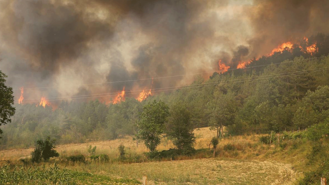 Foto - Maalesef Karabük'ten üzen haber geldi