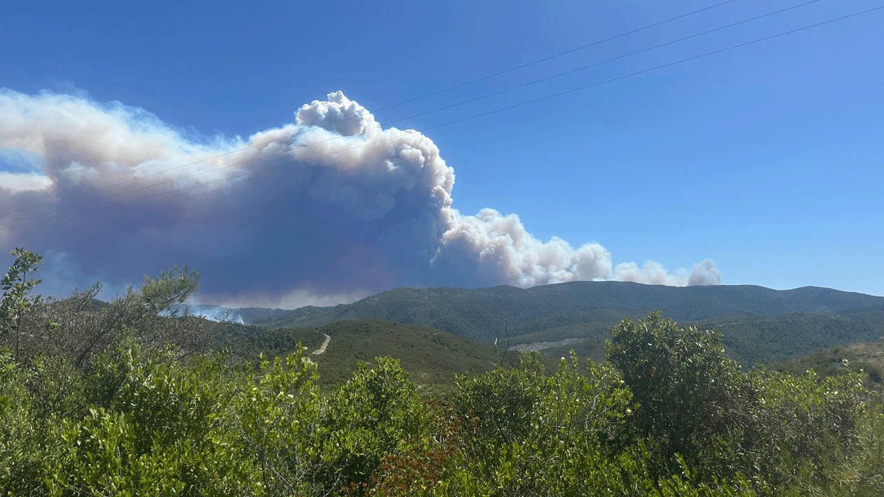 Foto - Maalesef kötü haber geldi! Suriye'de başladı Türkiye'ye sıçradı