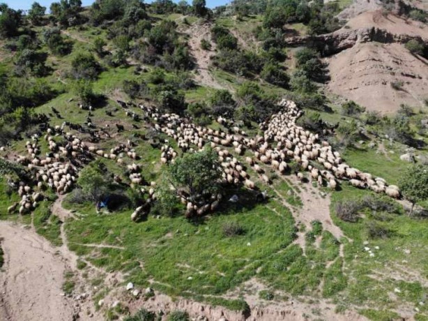 Foto - Maaş arttı sıkıntı bitmedi! 100 bin TL'ye çalışacak eleman bulamıyorlar