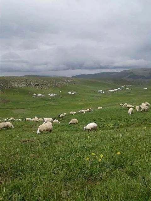 Foto - Maaş arttı sıkıntı bitmedi! 100 bin TL'ye çalışacak eleman bulamıyorlar