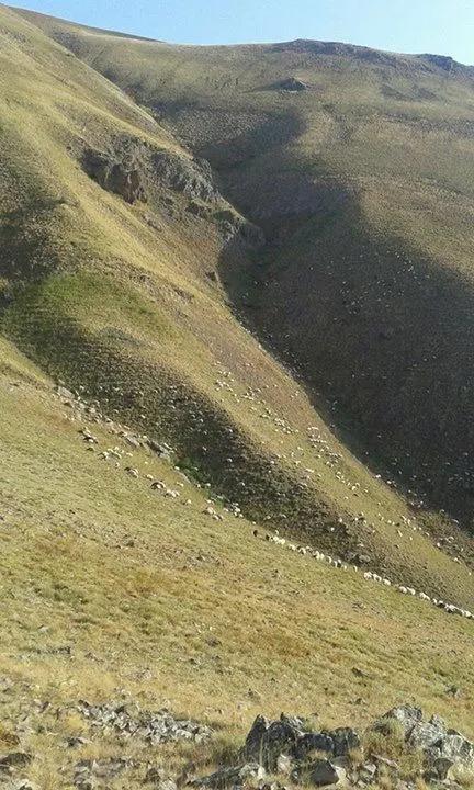 Foto - Maaş arttı sıkıntı bitmedi! 100 bin TL'ye çalışacak eleman bulamıyorlar