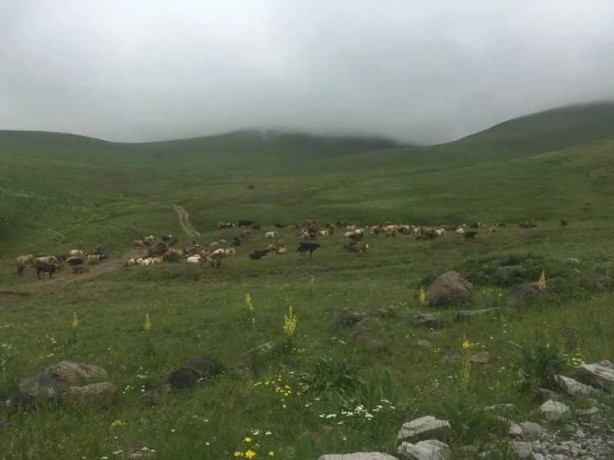 Foto - Maaş arttı sıkıntı bitmedi! 100 bin TL'ye çalışacak eleman bulamıyorlar