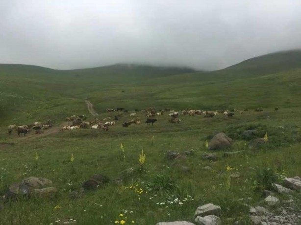 Foto - Maaş arttı sıkıntı bitmedi! 100 bin TL'ye çalışacak eleman bulamıyorlar