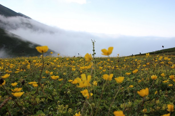 Foto - Macahel'in yaylalarına eşsiz yolculuk