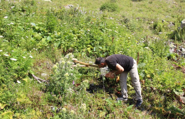 Foto - Macahel'in yaylalarına eşsiz yolculuk