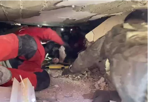 Macar ekip 'kurtaramadık' demişti! AKUT duyurdu: Yaşıyor