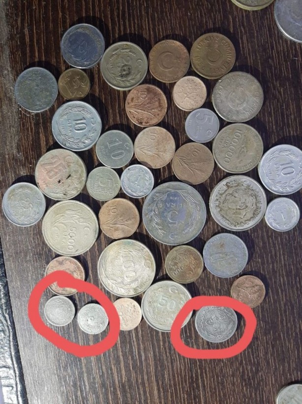 Foto - Macaristan'dan kaçırılmıştı! Türkiye geri alacak