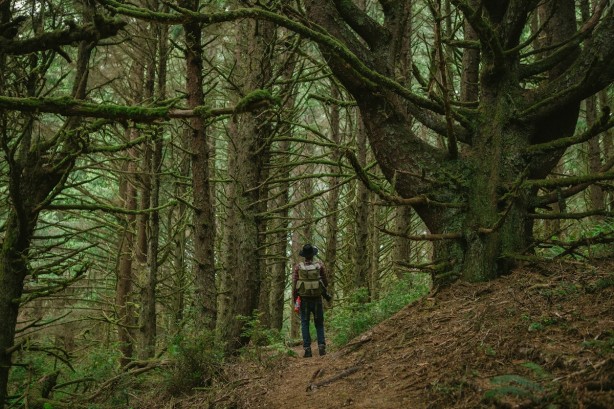 Foto - Macera severler için 'kaybolma tatili!' Acil durumlar dışında iletişim yok!