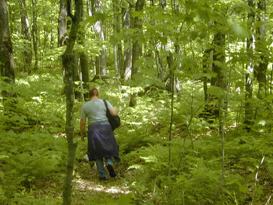 Foto - Macera severler için 'kaybolma tatili!' Acil durumlar dışında iletişim yok!