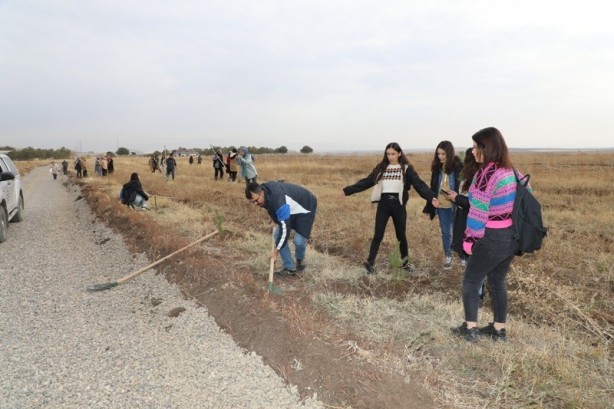 Foto - Maden şehitleri anısına fidan dikildi