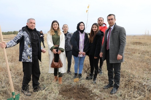 Foto - Maden şehitleri anısına fidan dikildi