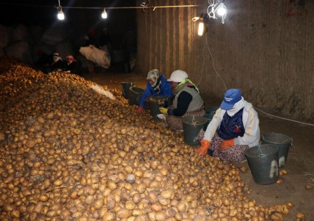 Foto - Mağaralarda saklanıyor! Türkiye'nin her yerinden talep var