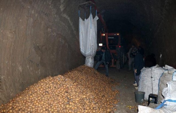 Mağaralarda saklanıyor! Türkiye'nin her yerinden talep var
