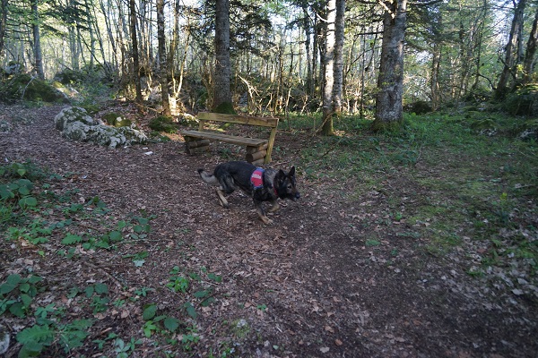 Foto - Mağarayı görmeye gitmişti! Milli parkta gizemli kayıp