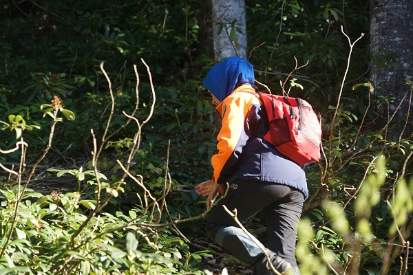 Foto - Mağarayı görmeye gitmişti! Milli parkta gizemli kayıp