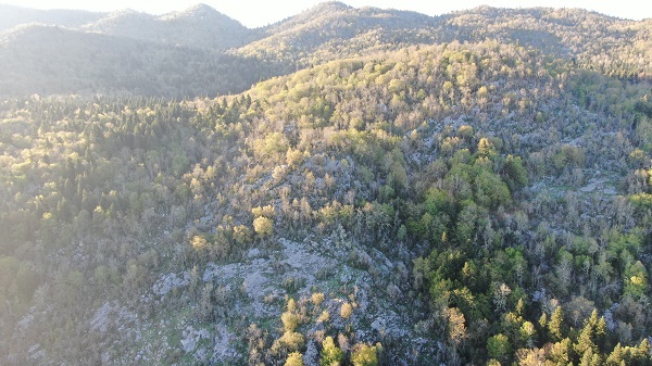 Foto - Mağarayı görmeye gitmişti! Milli parkta gizemli kayıp