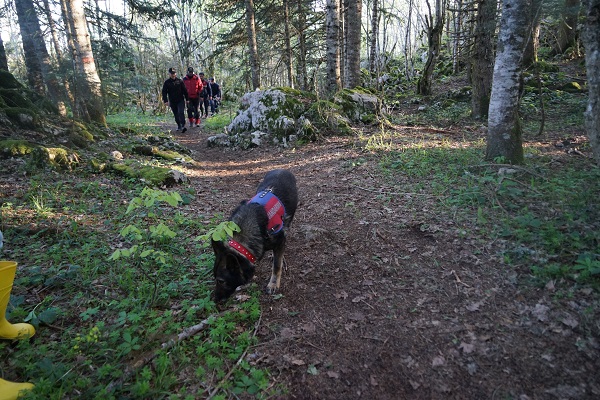 Foto - Mağarayı görmeye gitmişti! Milli parkta gizemli kayıp